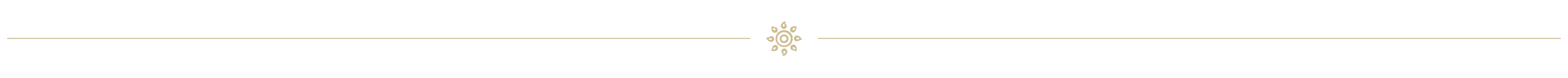 separator-2